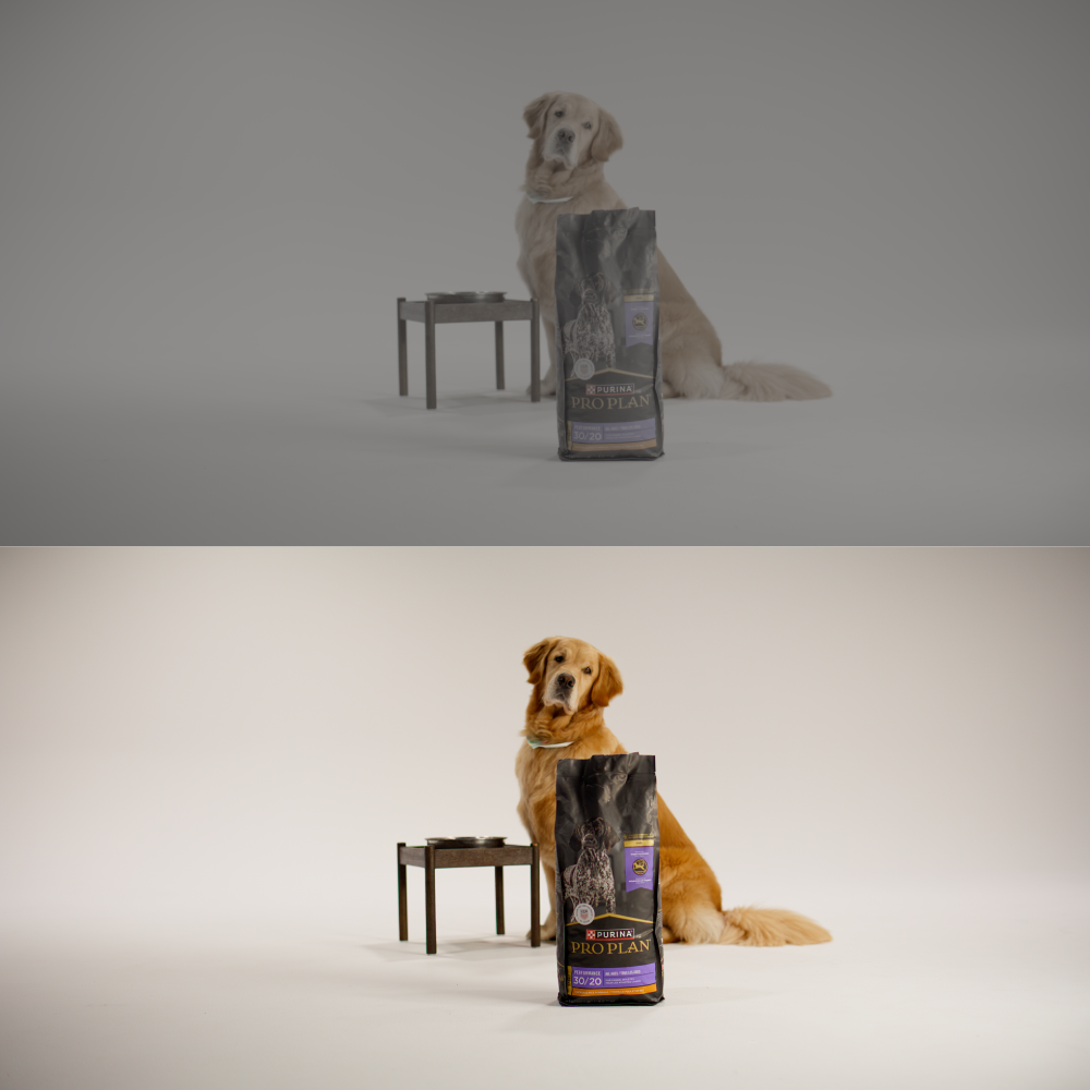 Pro Cinema LUTs