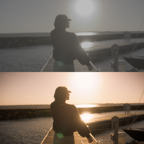 Pro Cinema LUTs