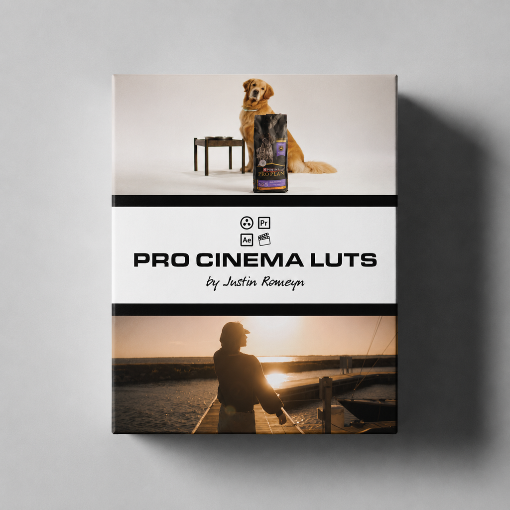 Pro Cinema LUTs